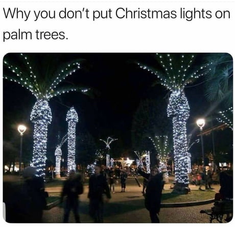 Detail Palm Tree Christmas Lights Meme Nomer 4