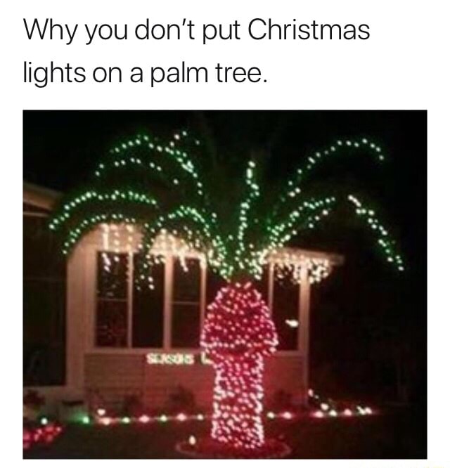 Detail Palm Tree Christmas Lights Meme Nomer 41