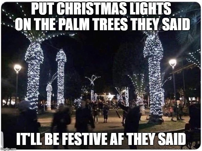 Detail Palm Tree Christmas Lights Meme Nomer 6