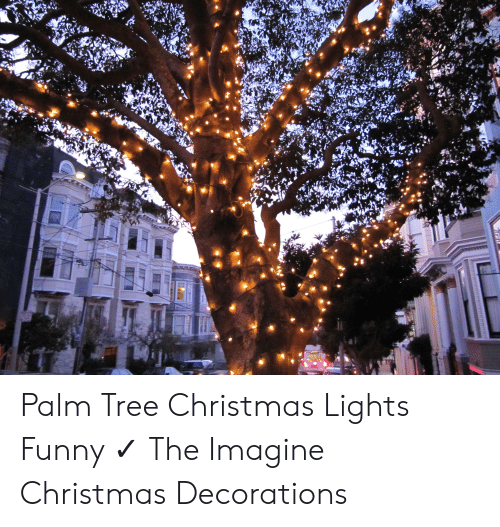 Detail Palm Tree Christmas Lights Meme Nomer 52