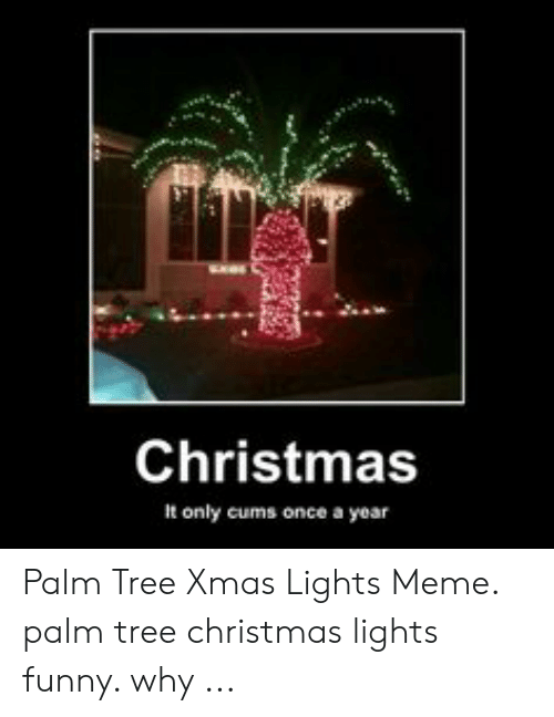 Detail Palm Tree Christmas Lights Meme Nomer 7