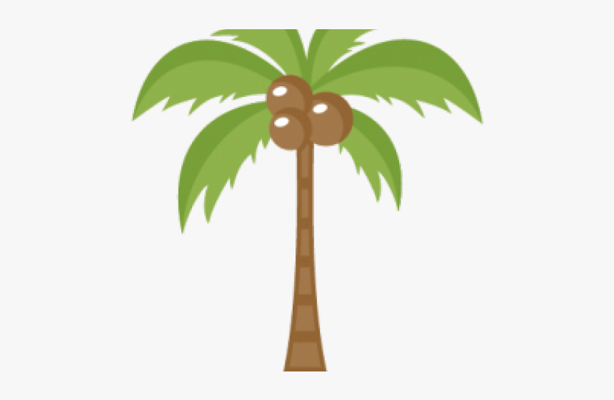 Detail Palm Tree Clear Background Nomer 43
