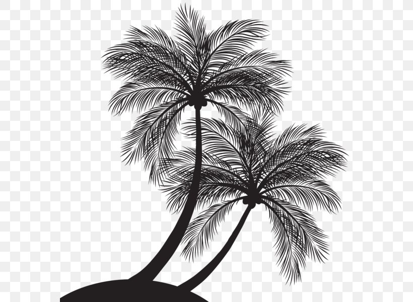Detail Palm Tree Clip Art Silhouette Nomer 28