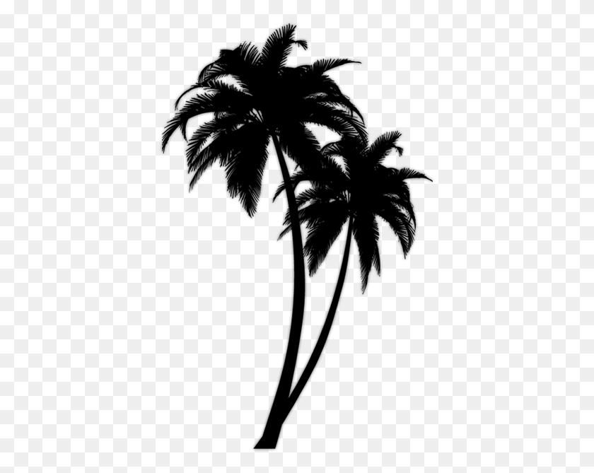 Detail Palm Tree Clip Art Silhouette Nomer 38