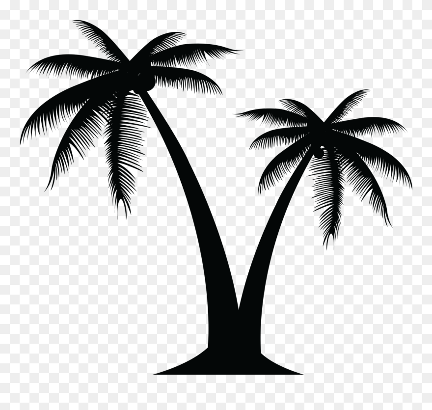 Detail Palm Tree Clip Art Vector Nomer 2