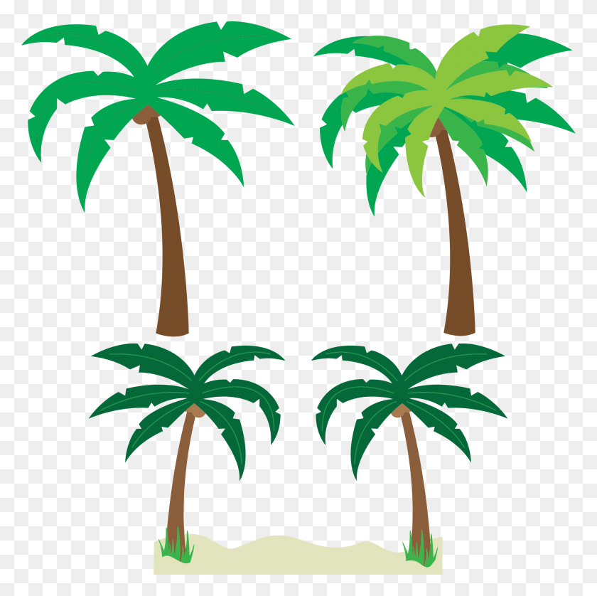 Detail Palm Tree Clip Art Vector Nomer 11