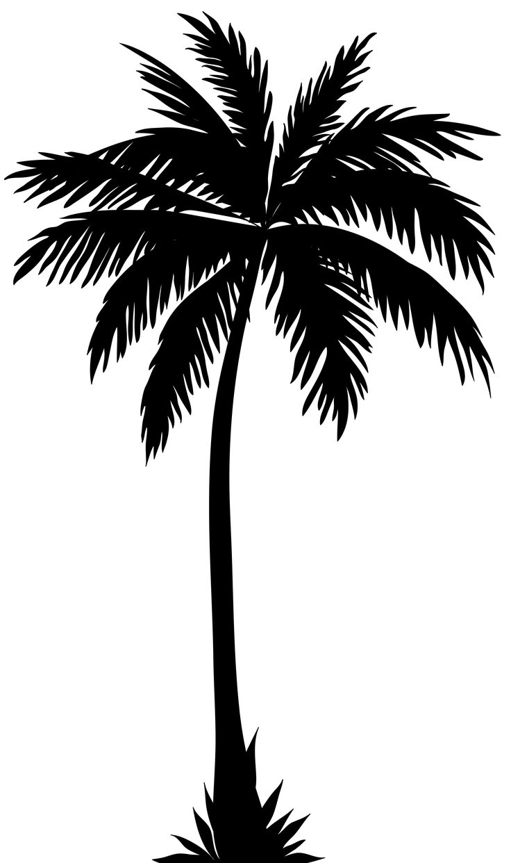 Detail Palm Tree Clip Art Vector Nomer 13