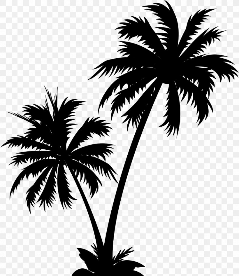 Detail Palm Tree Clip Art Vector Nomer 18