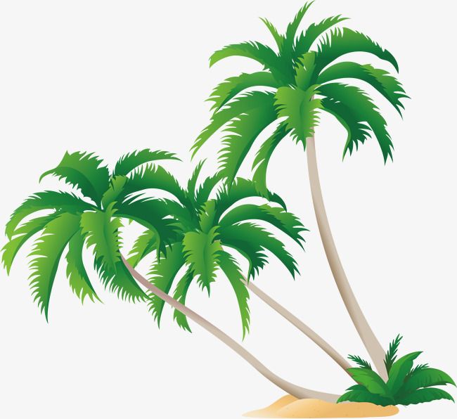Detail Palm Tree Clip Art Vector Nomer 19