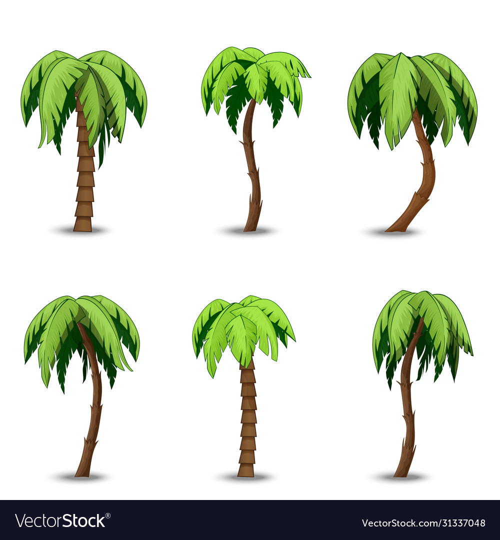 Detail Palm Tree Clip Art Vector Nomer 21