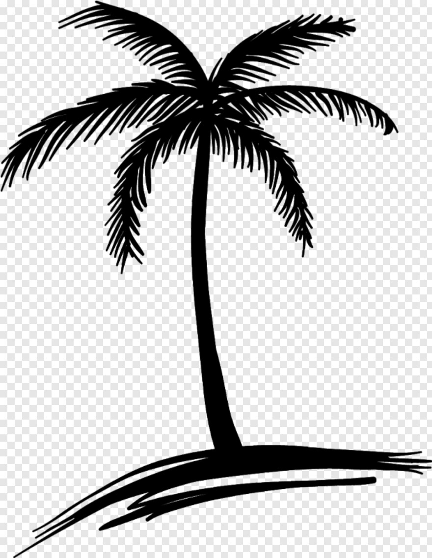 Detail Palm Tree Clip Art Vector Nomer 28