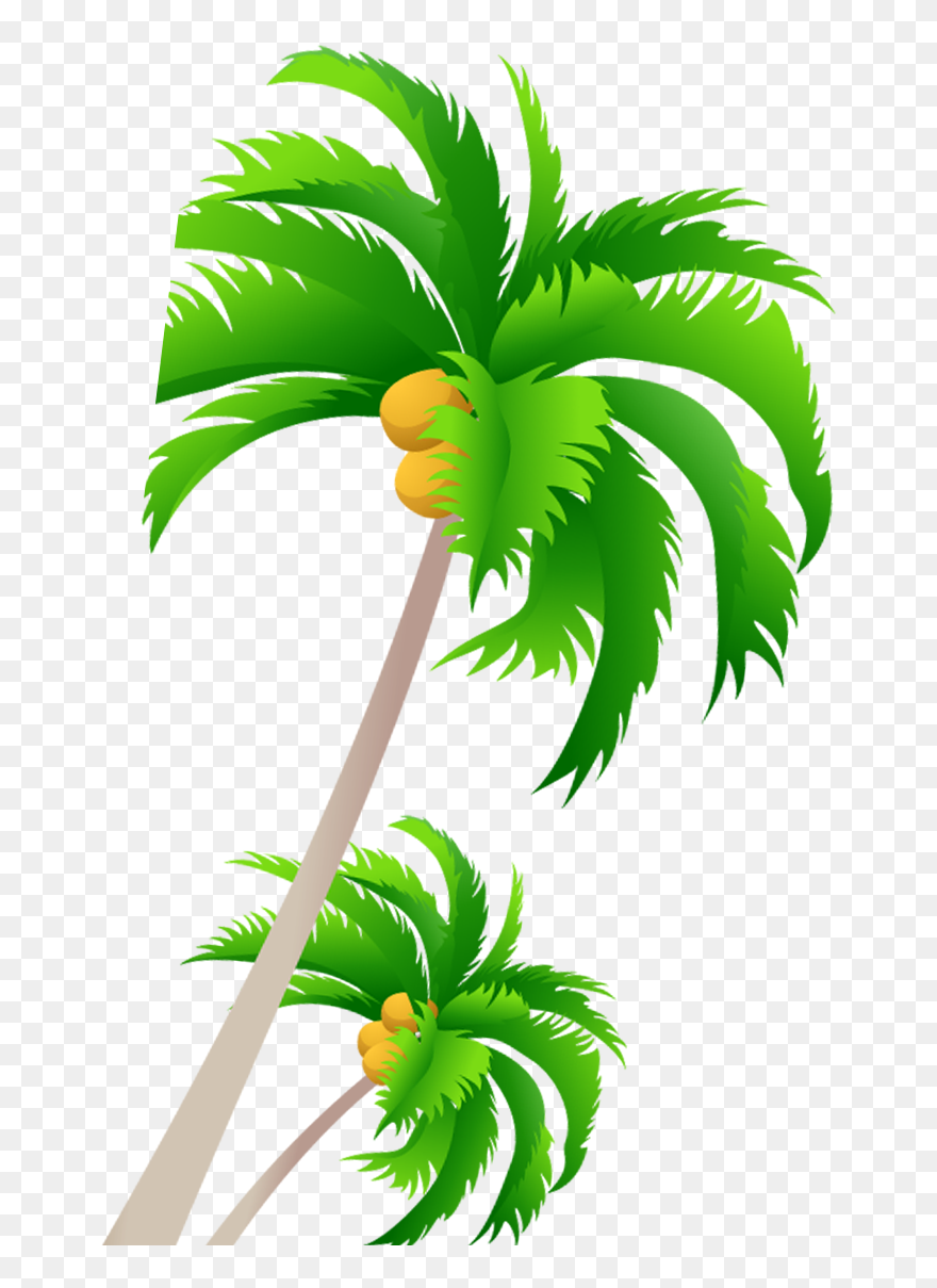 Detail Palm Tree Clip Art Vector Nomer 29