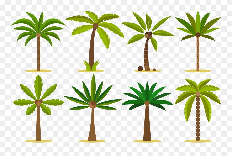 Detail Palm Tree Clip Art Vector Nomer 36