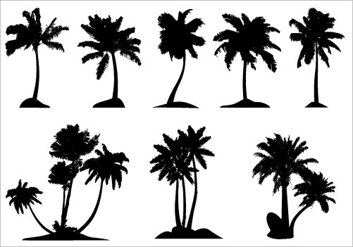 Detail Palm Tree Clip Art Vector Nomer 37