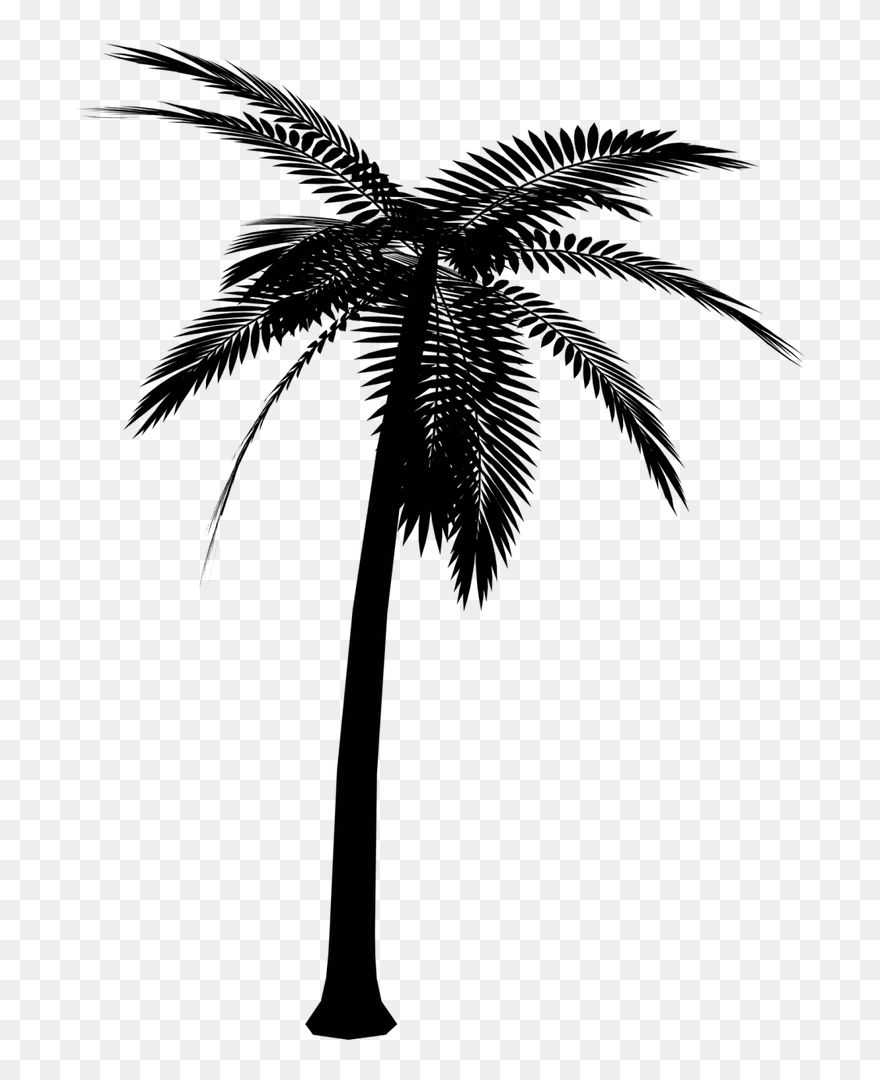 Detail Palm Tree Clip Art Vector Nomer 40