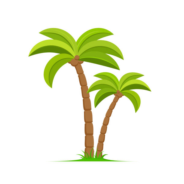 Detail Palm Tree Clip Art Vector Nomer 41