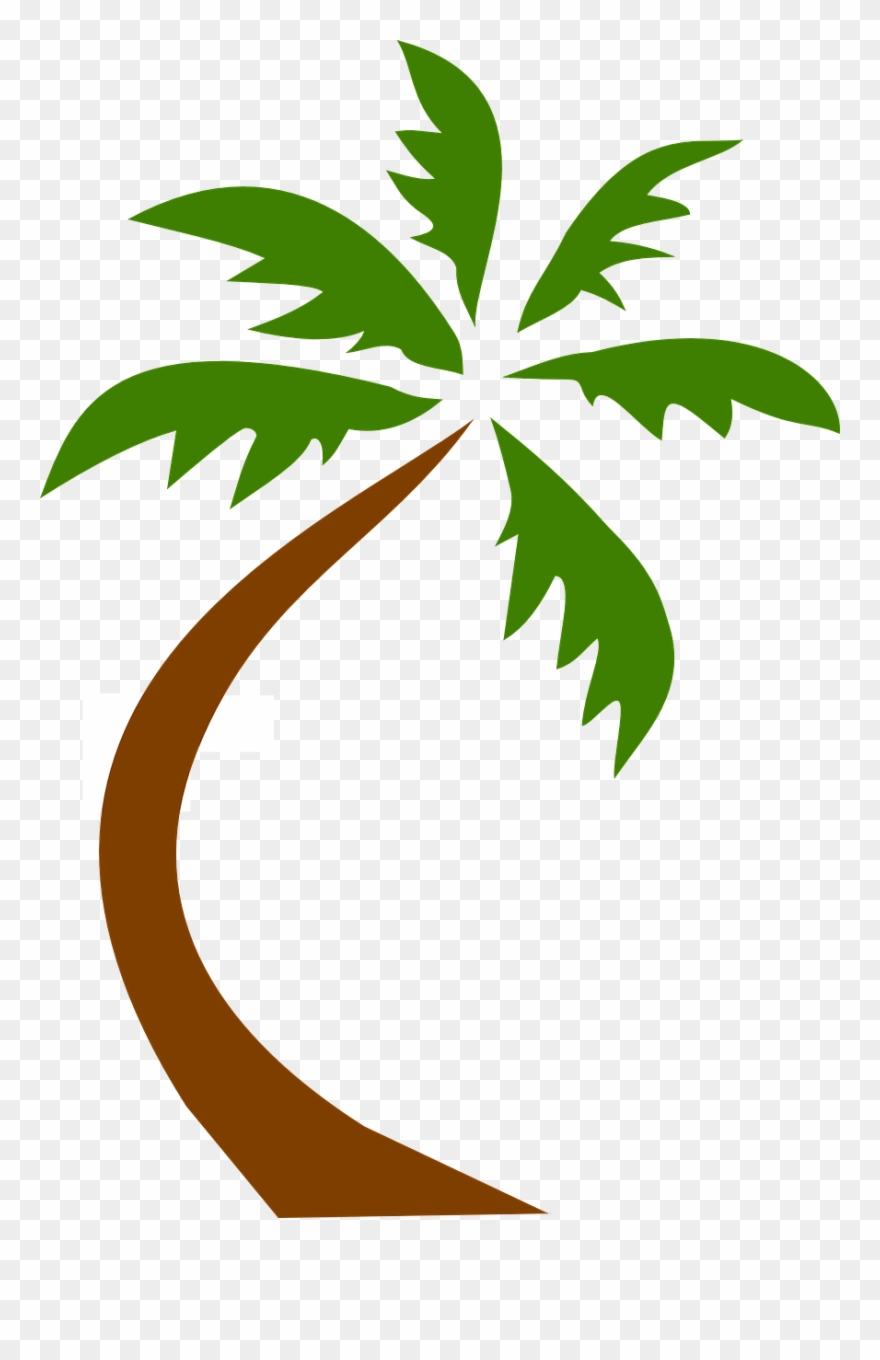 Detail Palm Tree Clip Art Vector Nomer 6