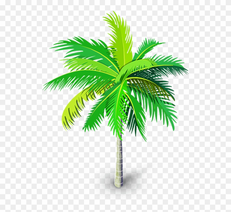 Detail Palm Tree Clip Art Vector Nomer 43