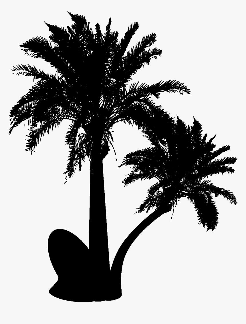 Detail Palm Tree Clip Art Vector Nomer 49