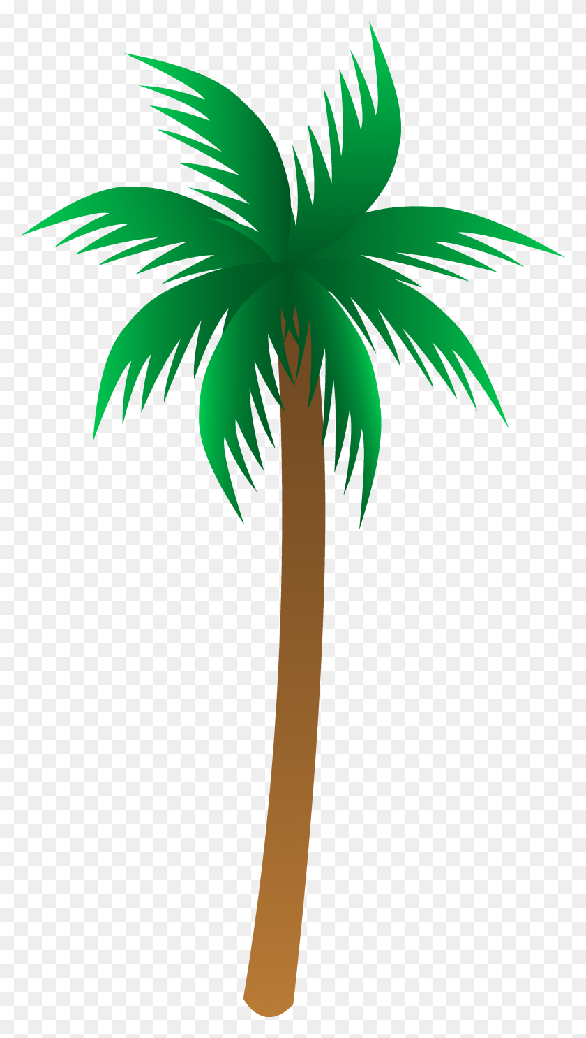 Detail Palm Tree Clip Art Vector Nomer 9