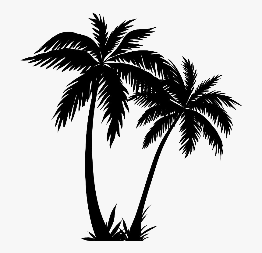 Detail Palm Tree Clip Art Vector Nomer 10