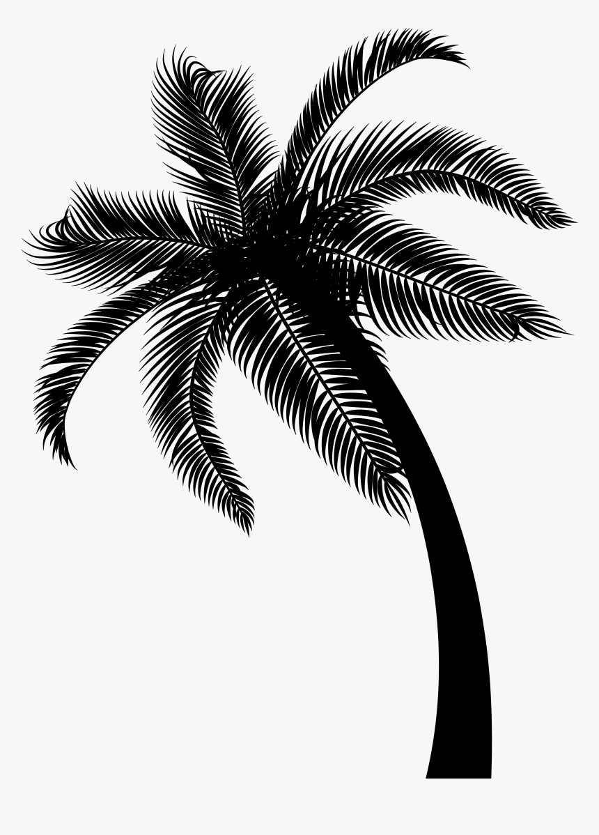 Detail Palm Tree Clipart Black And White No Background Nomer 9