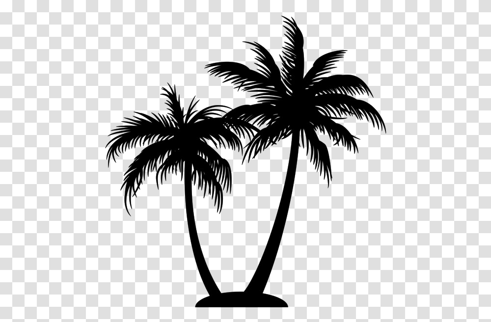 Detail Palm Tree Clipart Black And White No Background Nomer 10