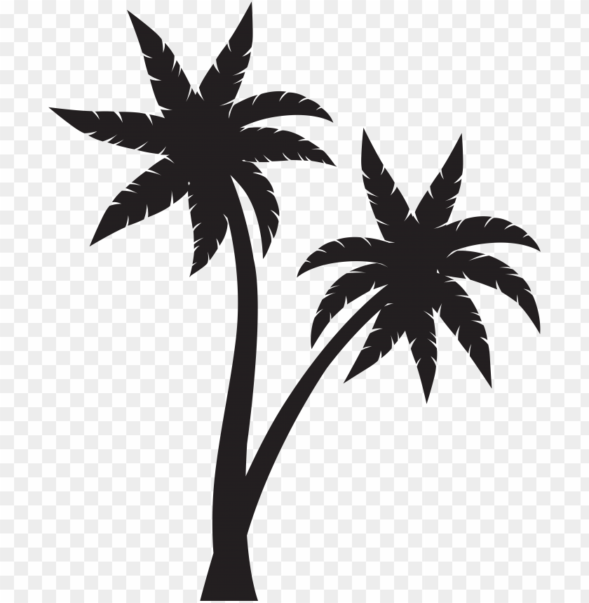 Detail Palm Tree Clipart Black And White No Background Nomer 11