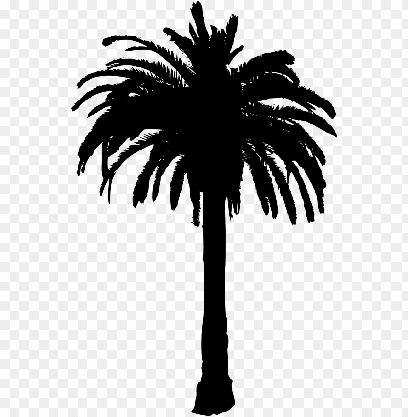 Detail Palm Tree Clipart Black And White No Background Nomer 13