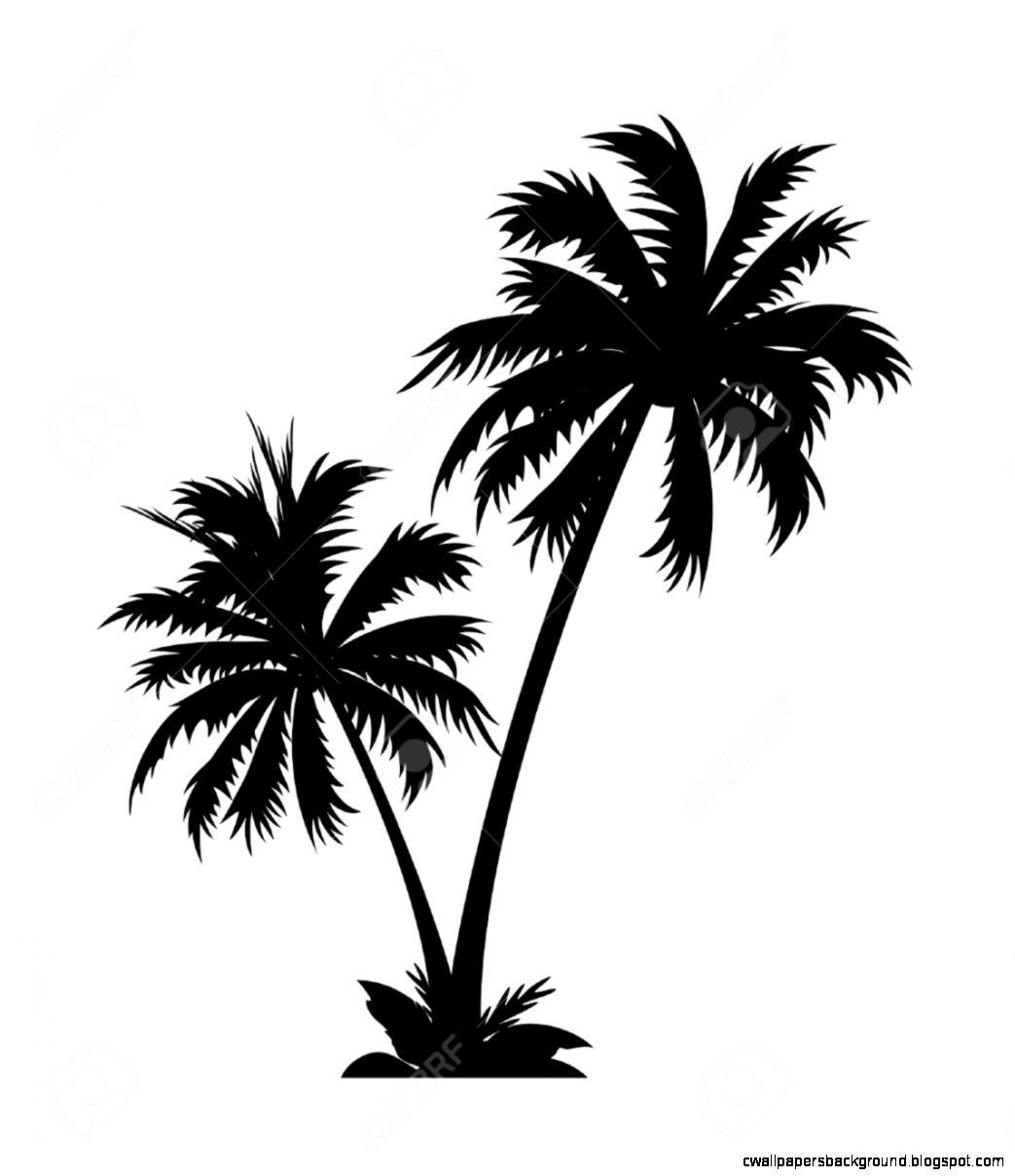 Detail Palm Tree Clipart Black And White No Background Nomer 15