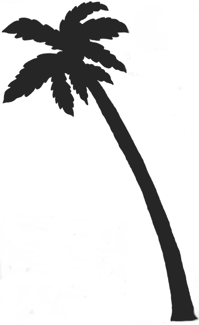 Detail Palm Tree Clipart Black And White No Background Nomer 16