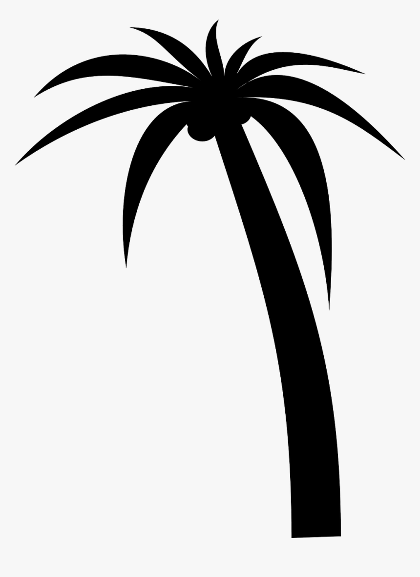 Detail Palm Tree Clipart Black And White No Background Nomer 17