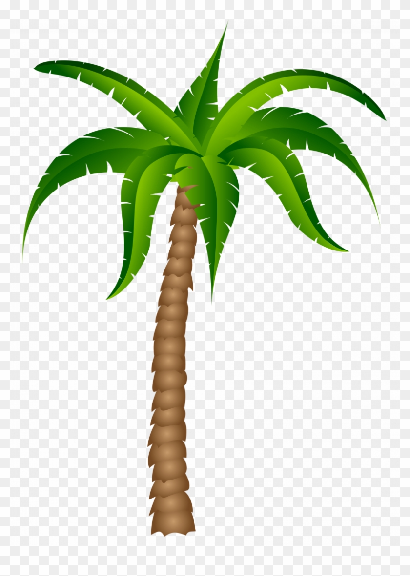 Detail Palm Tree Clipart Black And White No Background Nomer 18