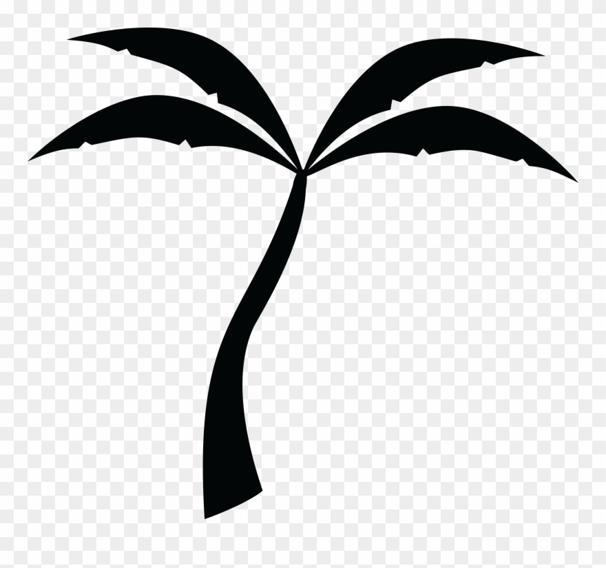 Detail Palm Tree Clipart Black And White No Background Nomer 20