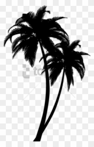 Detail Palm Tree Clipart Black And White No Background Nomer 23