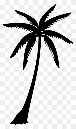 Detail Palm Tree Clipart Black And White No Background Nomer 2