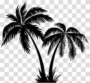 Detail Palm Tree Clipart Black And White No Background Nomer 28