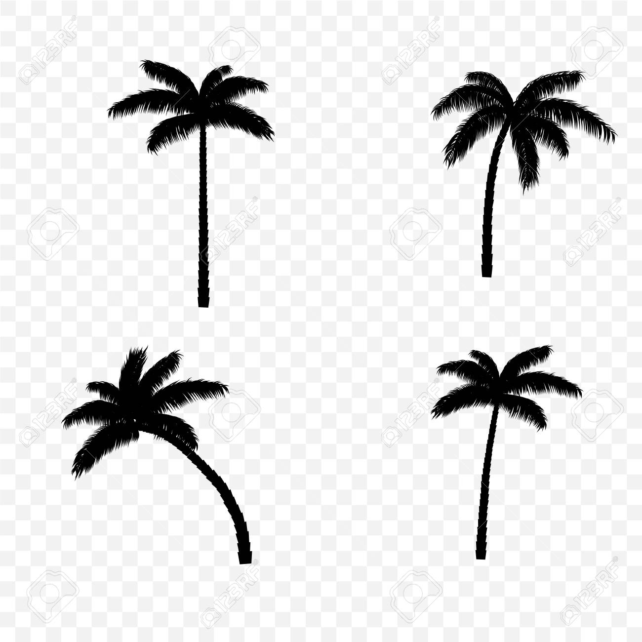 Detail Palm Tree Clipart Black And White No Background Nomer 29