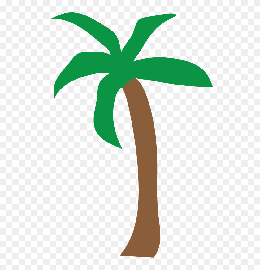 Detail Palm Tree Clipart Black And White No Background Nomer 31