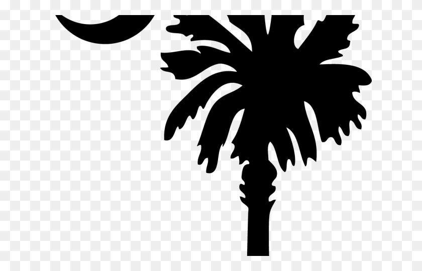 Detail Palm Tree Clipart Black And White No Background Nomer 32