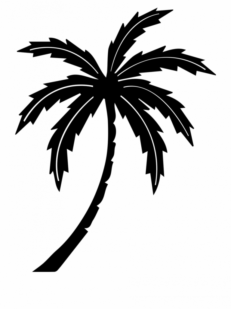 Detail Palm Tree Clipart Black And White No Background Nomer 3
