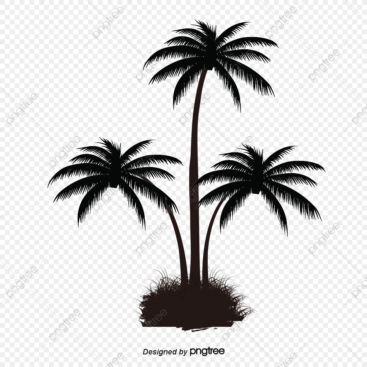 Detail Palm Tree Clipart Black And White No Background Nomer 37