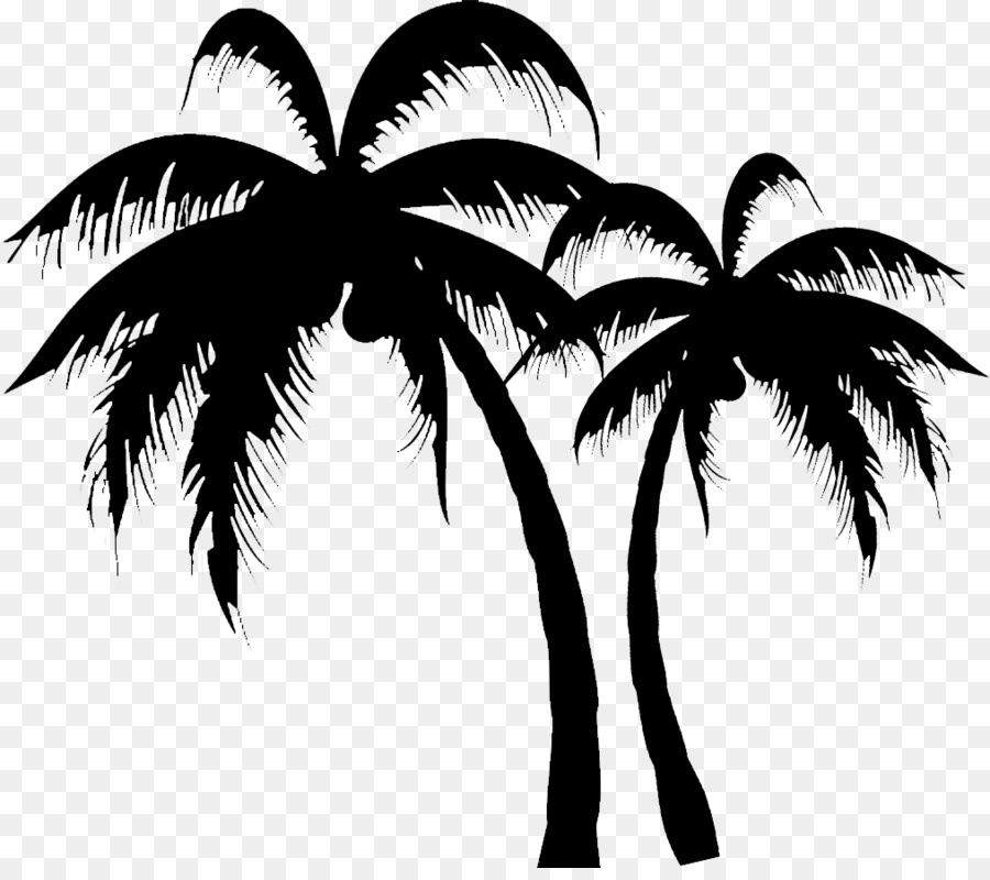 Detail Palm Tree Clipart Black And White No Background Nomer 41