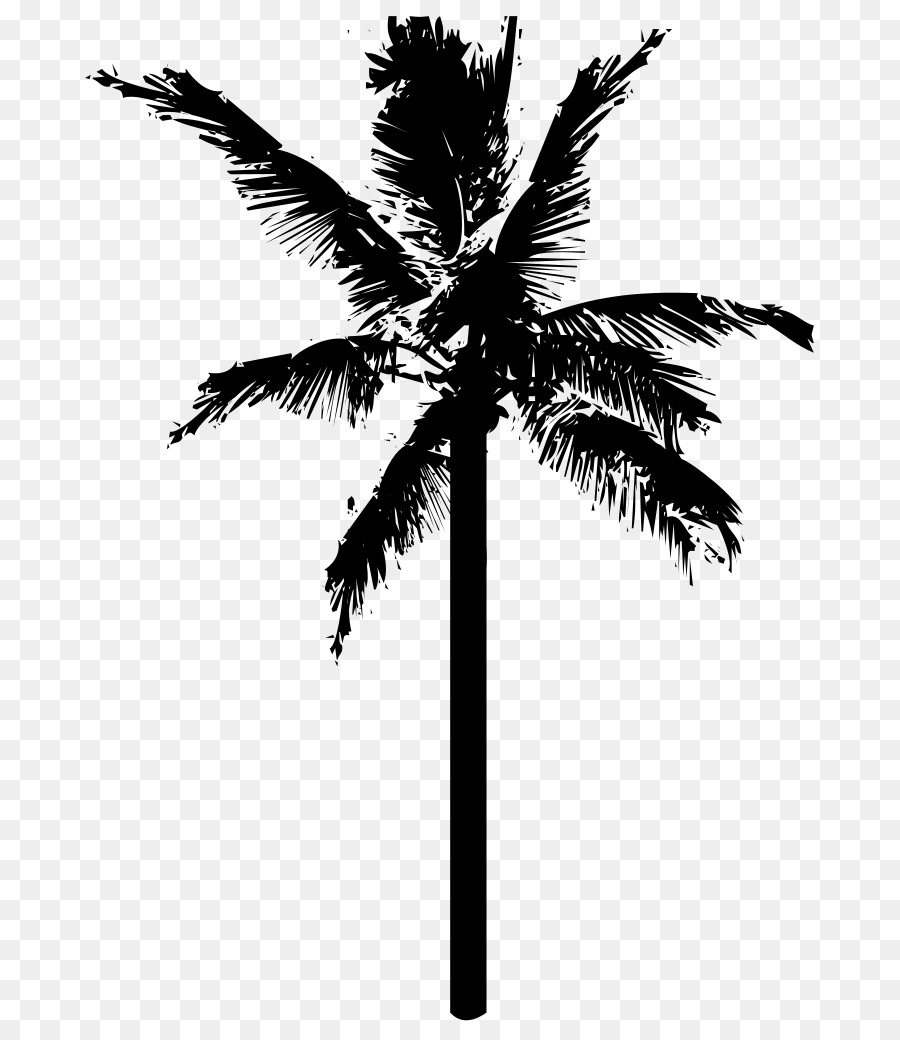 Detail Palm Tree Clipart Black And White No Background Nomer 47