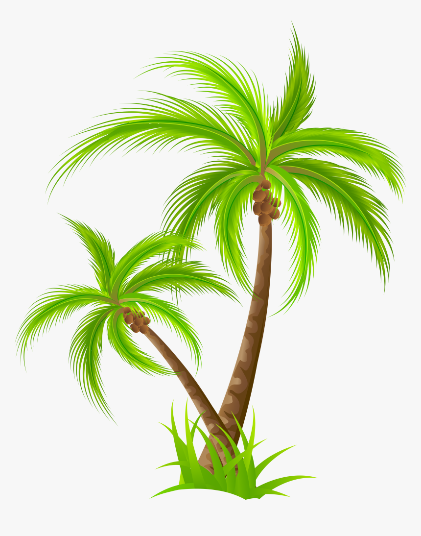 Detail Palm Tree Clipart Png Nomer 14