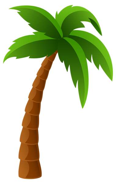 Detail Palm Tree Clipart Png Nomer 3