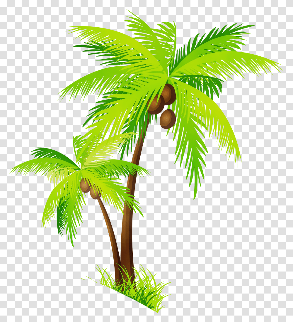 Detail Palm Tree Clipart Png Nomer 22