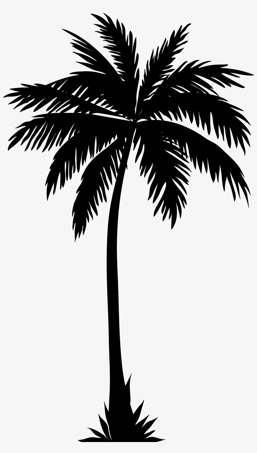 Detail Palm Tree Clipart Png Nomer 25