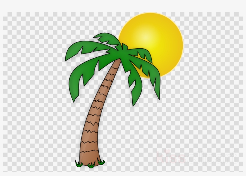 Detail Palm Tree Clipart Png Nomer 27