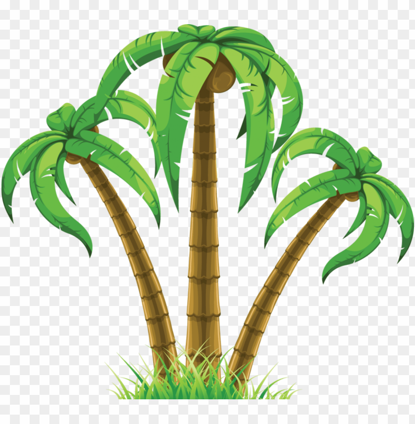 Detail Palm Tree Clipart Png Nomer 45